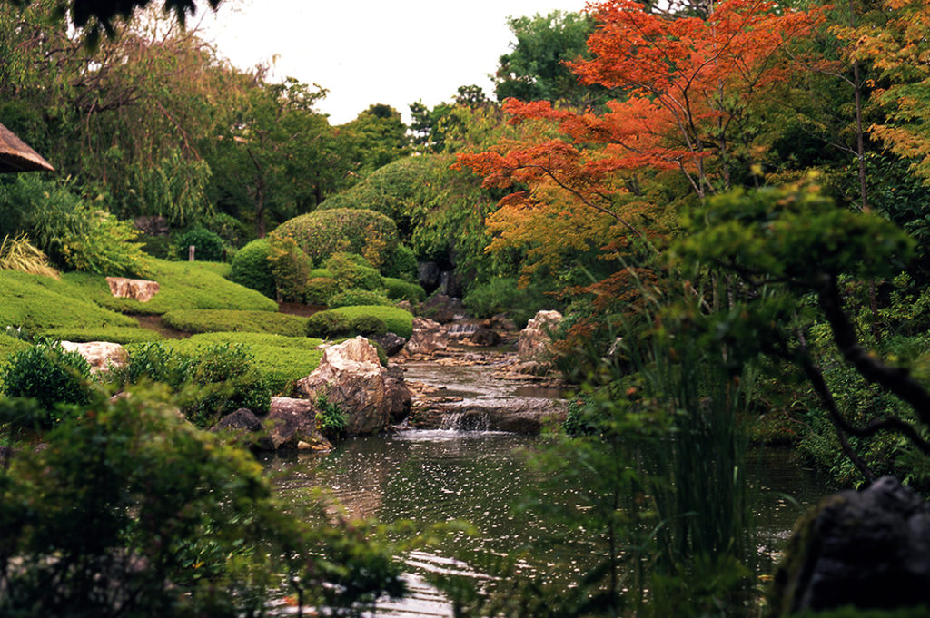 Cascading waterfalls and flaming red maples at the Taizo-in garden.