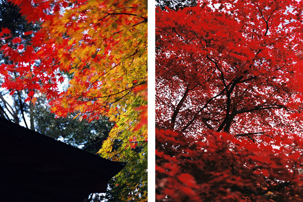 Keywords: Arashiyama, Nison-in, autumn, mountain, Kyoto, Japan.