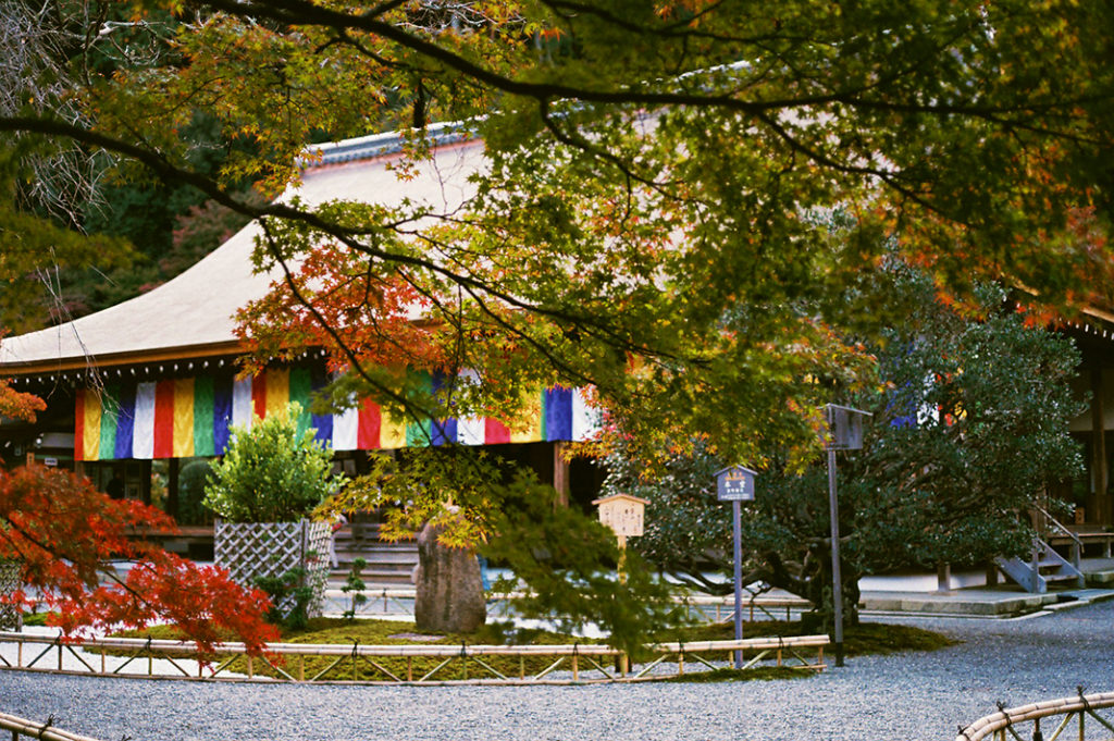 The temple's Honden (prayer hall) is adorned with flags during Buddhist holy days, this year during the autumn.