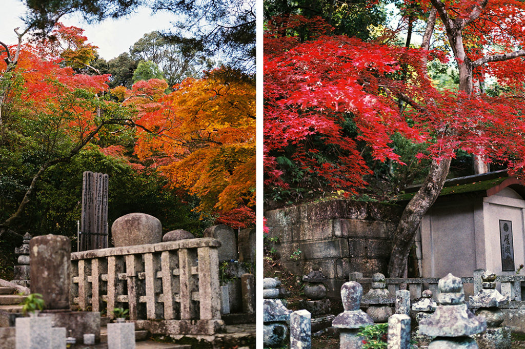 Keywords: Arashiyama, Nison-in, autumn, mountain, Kyoto, Japan.