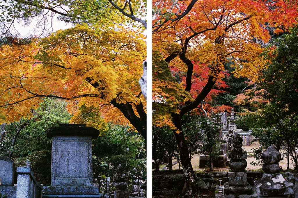 Keywords: Arashiyama, Nison-in, autumn, mountain, Kyoto, Japan.