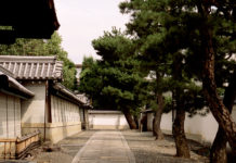 Myoshin-ji Temple and Taizo-in’s Garden: Kyoto’s Past, Perfectly Preserved.