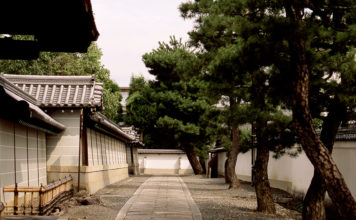 Myoshin-ji Temple and Taizo-in’s Garden: Kyoto’s Past, Perfectly Preserved.
