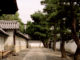 Myoshin-ji Temple and Taizo-in’s Garden: Kyoto’s Past, Perfectly Preserved.