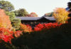 Tofuku-ji Temple: Mirei’s Modernism in the Heart of Kyoto