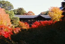 Tofuku-ji Temple: Mirei’s Modernism in the Heart of Kyoto