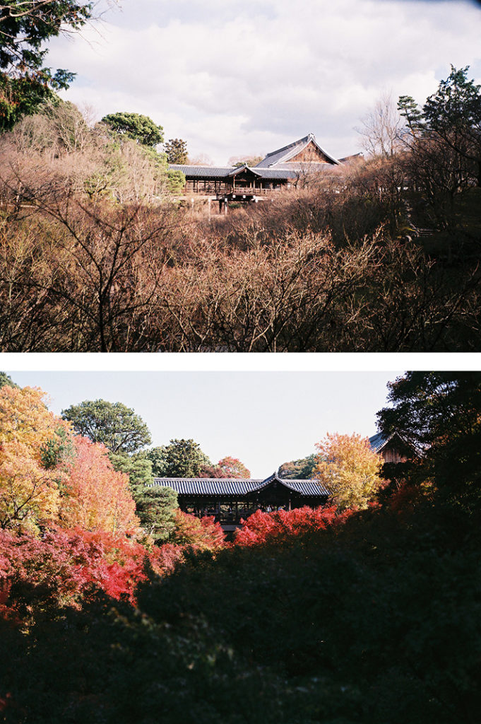 Tofukuji Temple