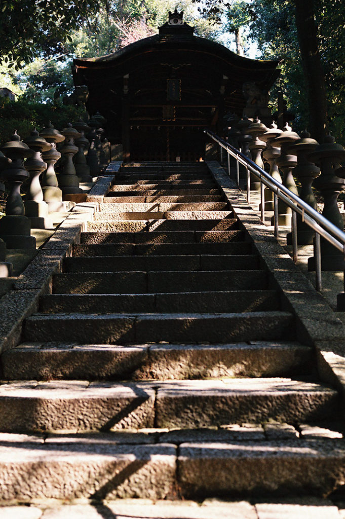 Keywords: 

Tofuku-ji Temple, Zen, Shigemori Mirei, Gardens, garden, design, Kyoto.