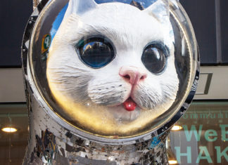 WeBase Hakata: The Fukuoka Hostel With The Giant Cat Statue