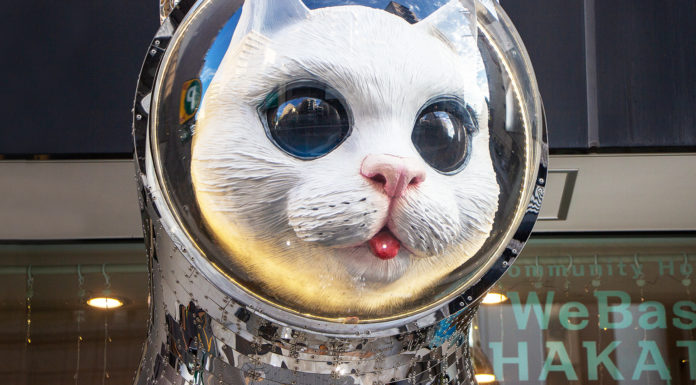 WeBase Hakata: The Fukuoka Hostel With The Giant Cat Statue