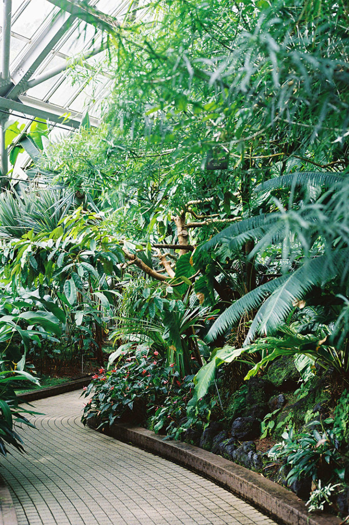 The Kyoto Botanical Gardens