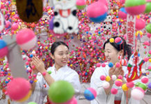 Pray for the New Year with Colorful Mayudama at Kinomiya Shrine