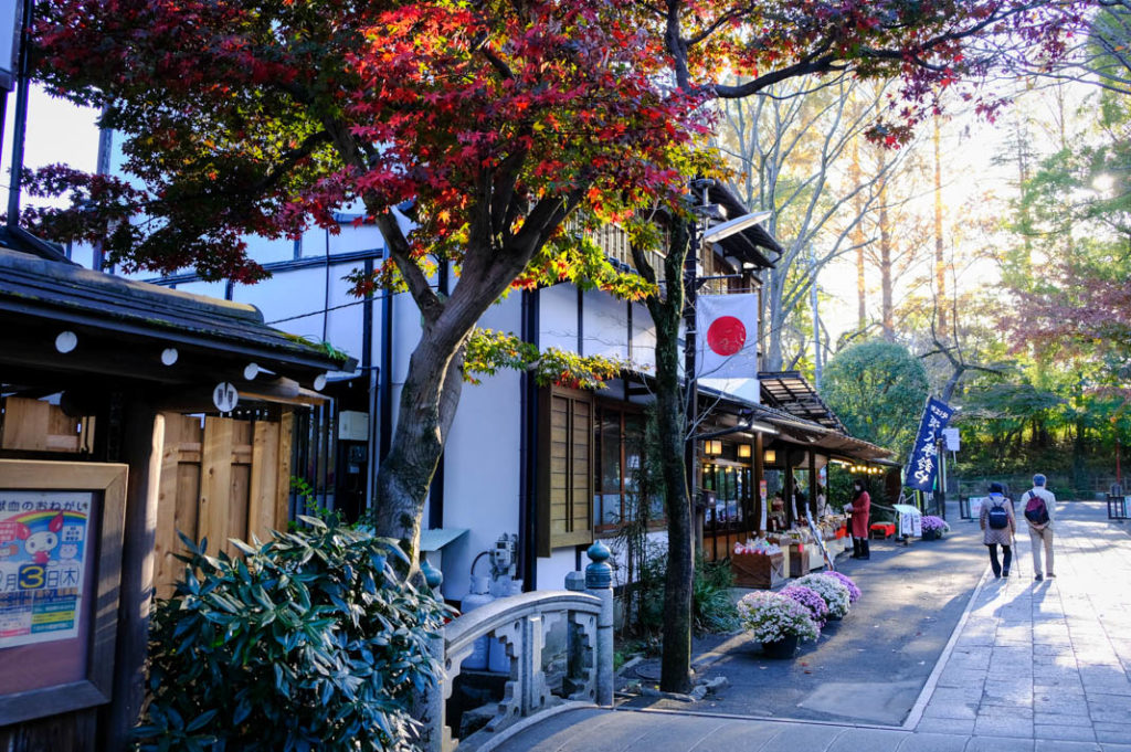 The quaint Edo-era streets near Jindaiji temple in Chofu.