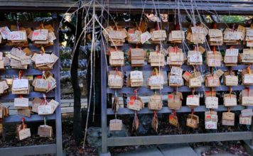 Jindaiji Temple: A Spiritual Day Trip From Tokyo