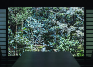 Kyoto City Walking Tour: Zen, Books, and Coffee.