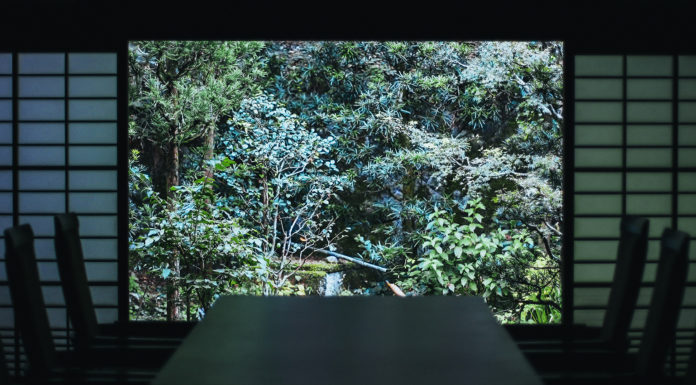 Kyoto City Walking Tour: Zen, Books, and Coffee.