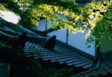 Choraku-ji and Anyo-ji: Hidden in the Hills, Lost in Time.