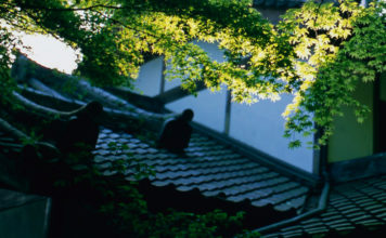 Choraku-ji and Anyo-ji: Hidden in the Hills, Lost in Time.