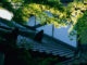 Choraku-ji and Anyo-ji: Hidden in the Hills, Lost in Time.