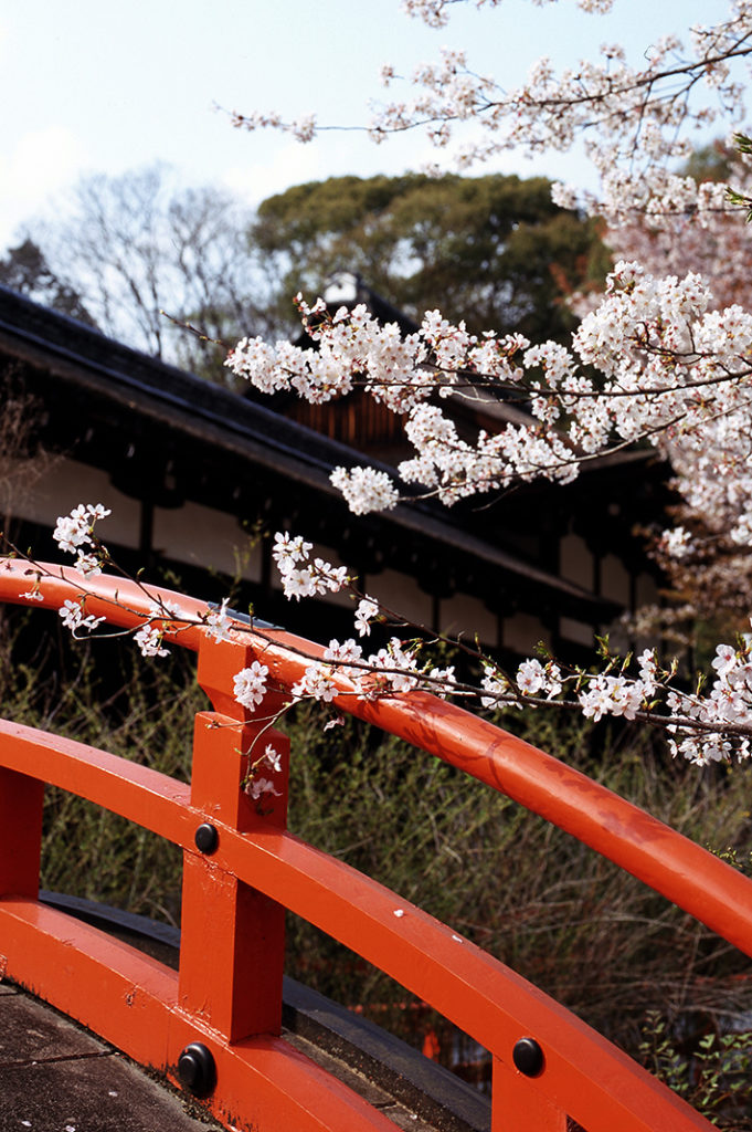 Keywords: Kyoto, Kyoto City, Tour, Walking Tour, Kyoto Walking Tour