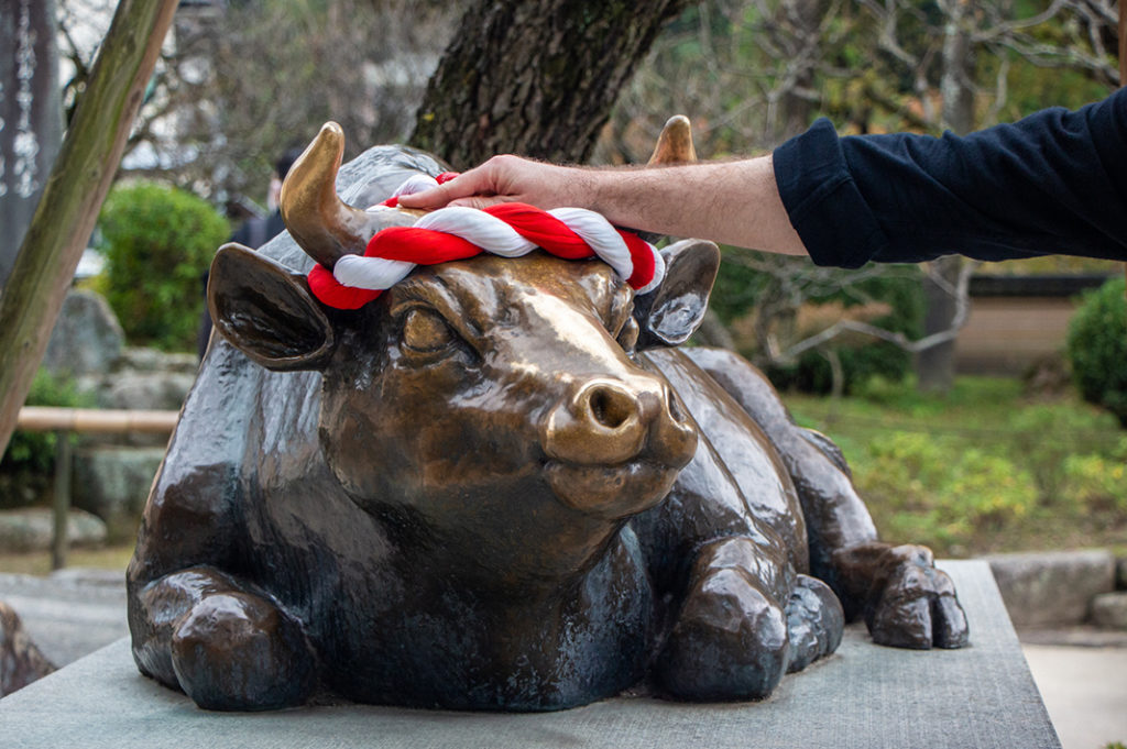 Rub the ox for good luck! 