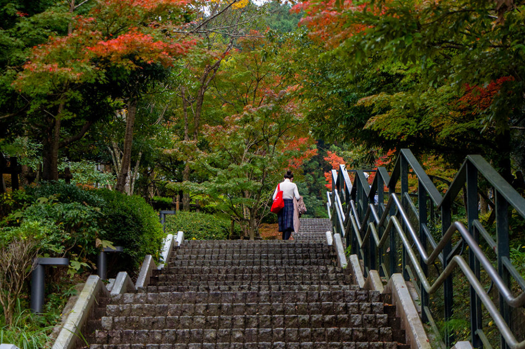 The approach to Kyushu National Museum