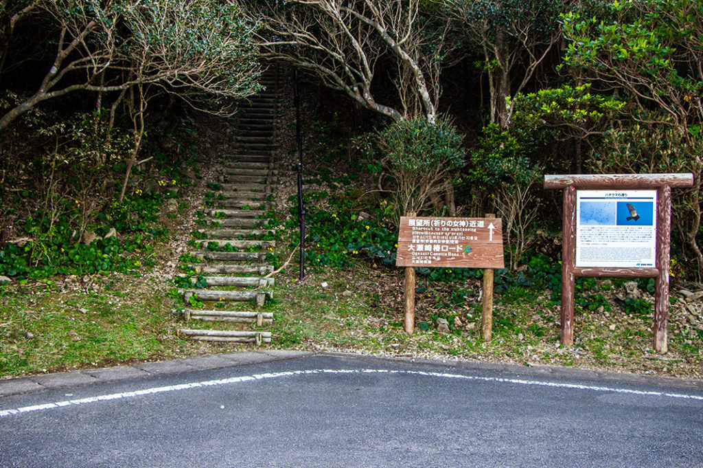 Pathway to the Osezaki Lighthouse observatory 