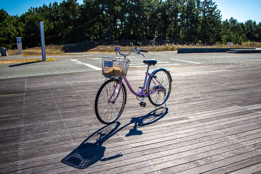 Uminonakamichi Seaside Park is a great family activity in Fukuoka for cycling, golf, playgrounds, a zoo, seasonal flowers and more! 