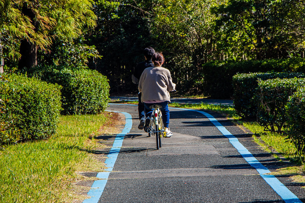 Uminonakamichi Seaside Park is a great family activity in Fukuoka for cycling, golf, playgrounds, a zoo, seasonal flowers and more! 