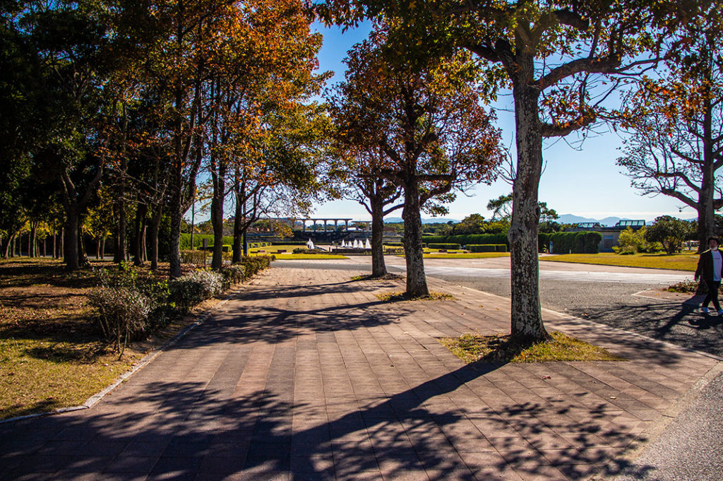 Uminonakamichi Seaside Park is a great family activity in Fukuoka for cycling, golf, playgrounds, a zoo, seasonal flowers and more! 