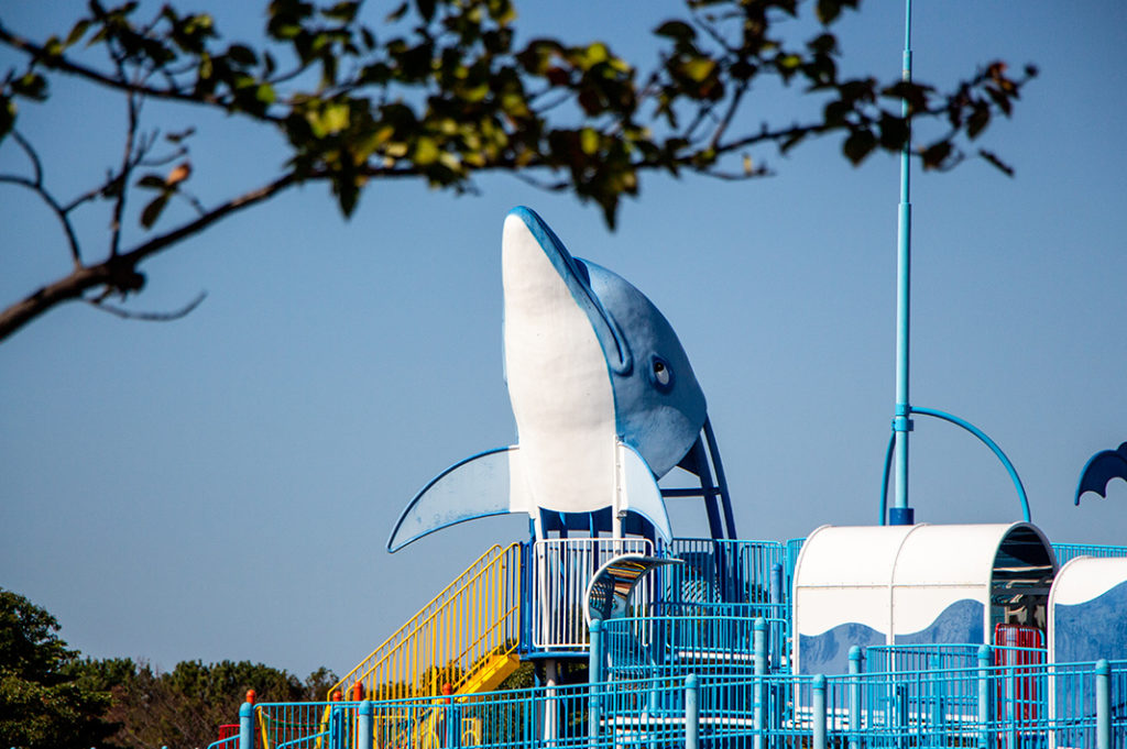 Uminonakamichi Seaside Park is a great family activity in Fukuoka for cycling, golf, playgrounds, a zoo, seasonal flowers and more! 