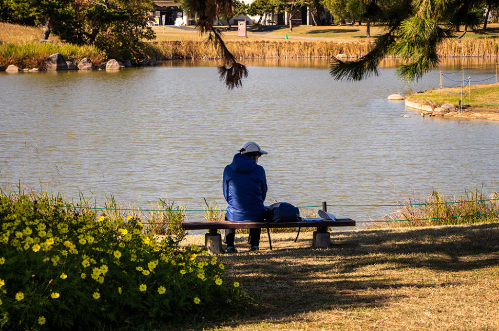 Quiet contemplation