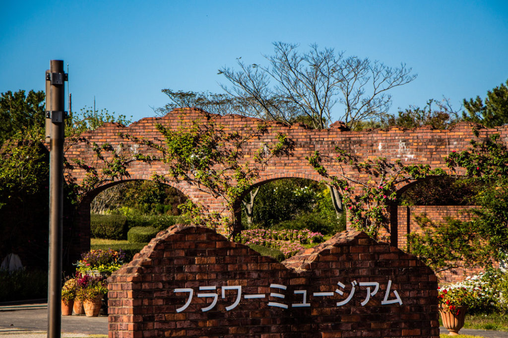 Uminonakamichi Seaside Park has an impressive calendar of seasonal flowers 