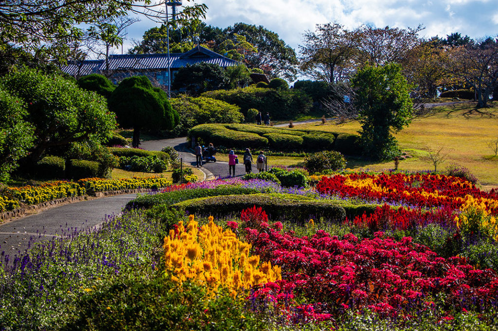 The Nokonoshima Island Park, with sweeping views and hills blanketed in seasonal flowers, it’s one of the most charming day trips in Fukuoka.