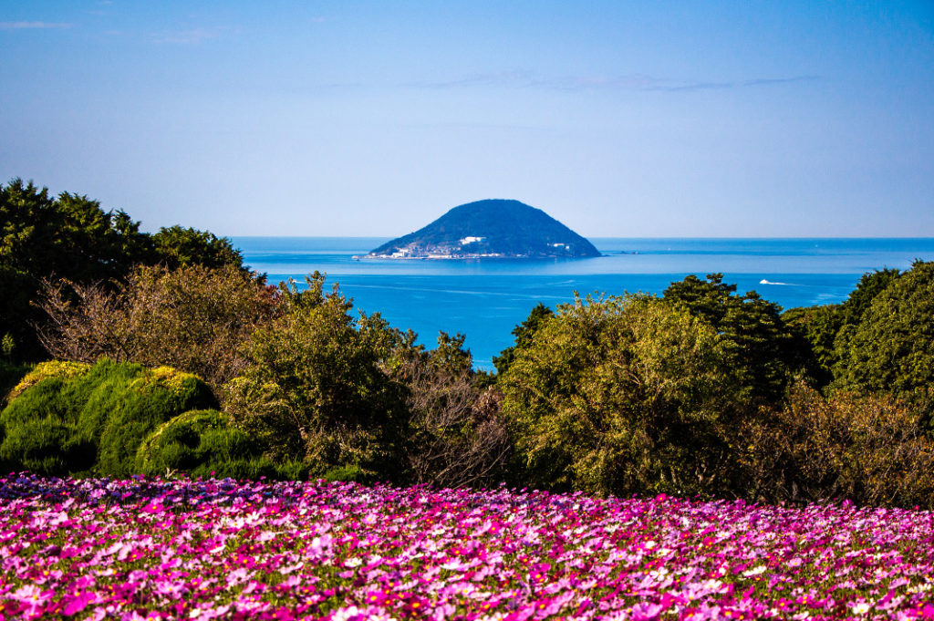 The Nokonoshima Island Park, with sweeping views and hills blanketed in seasonal flowers, it’s one of the most charming day trips in Fukuoka.