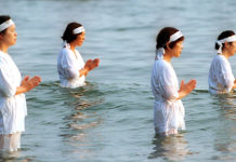 What is Shinto? Your Questions About Japan Answered