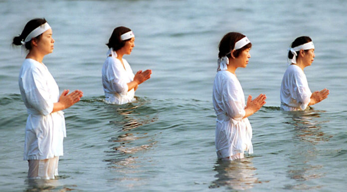 What is Shinto? Your Questions About Japan Answered