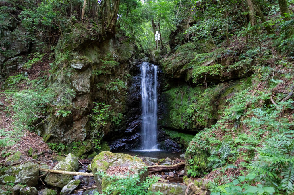 Kami can exist anywhere—even waterfalls. 