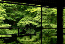 Kyoto Rurikoin Temple’s Green Maple Leaves Are Stunning in the Rain
