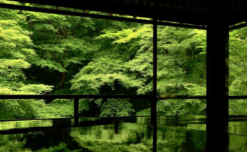 Kyoto Rurikoin Temple’s Green Maple Leaves Are Stunning in the Rain