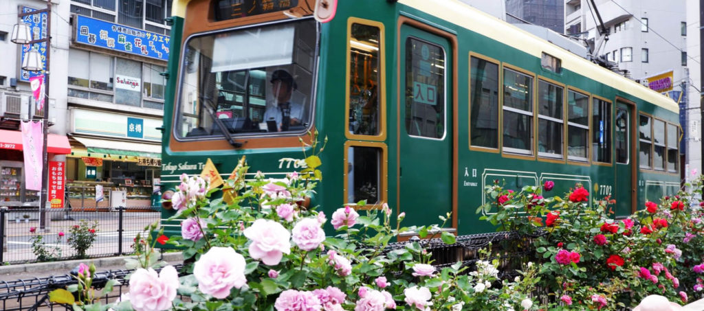 Tokyo tram line - sakura tram