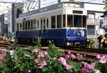 Trams Through the Blossoms: Discovering Tokyo on the Arakawa Line tokyo tram line arakawa