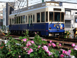 Trams Through the Blossoms: Discovering Tokyo on the Arakawa Line tokyo tram line arakawa