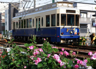 Trams Through the Blossoms: Discovering Tokyo on the Arakawa Line tokyo tram line arakawa