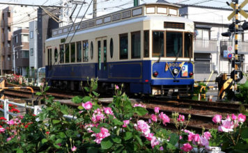 Trams Through the Blossoms: Discovering Tokyo on the Arakawa Line tokyo tram line arakawa