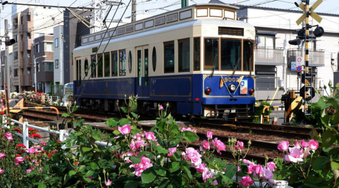 Trams Through the Blossoms: Discovering Tokyo on the Arakawa Line tokyo tram line arakawa