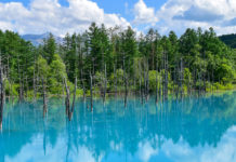 The Idyllic Hills of Biei: Exploring A Hidden Gem by Bike, Day 1 biei cycling itinerary hokkaido