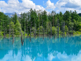 The Idyllic Hills of Biei: Exploring A Hidden Gem by Bike, Day 1 biei cycling itinerary hokkaido