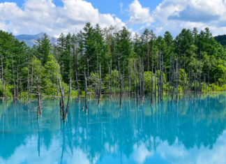 The Idyllic Hills of Biei: Exploring A Hidden Gem by Bike, Day 1 biei cycling itinerary hokkaido