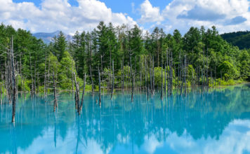 The Idyllic Hills of Biei: Exploring A Hidden Gem by Bike, Day 1 biei cycling itinerary hokkaido